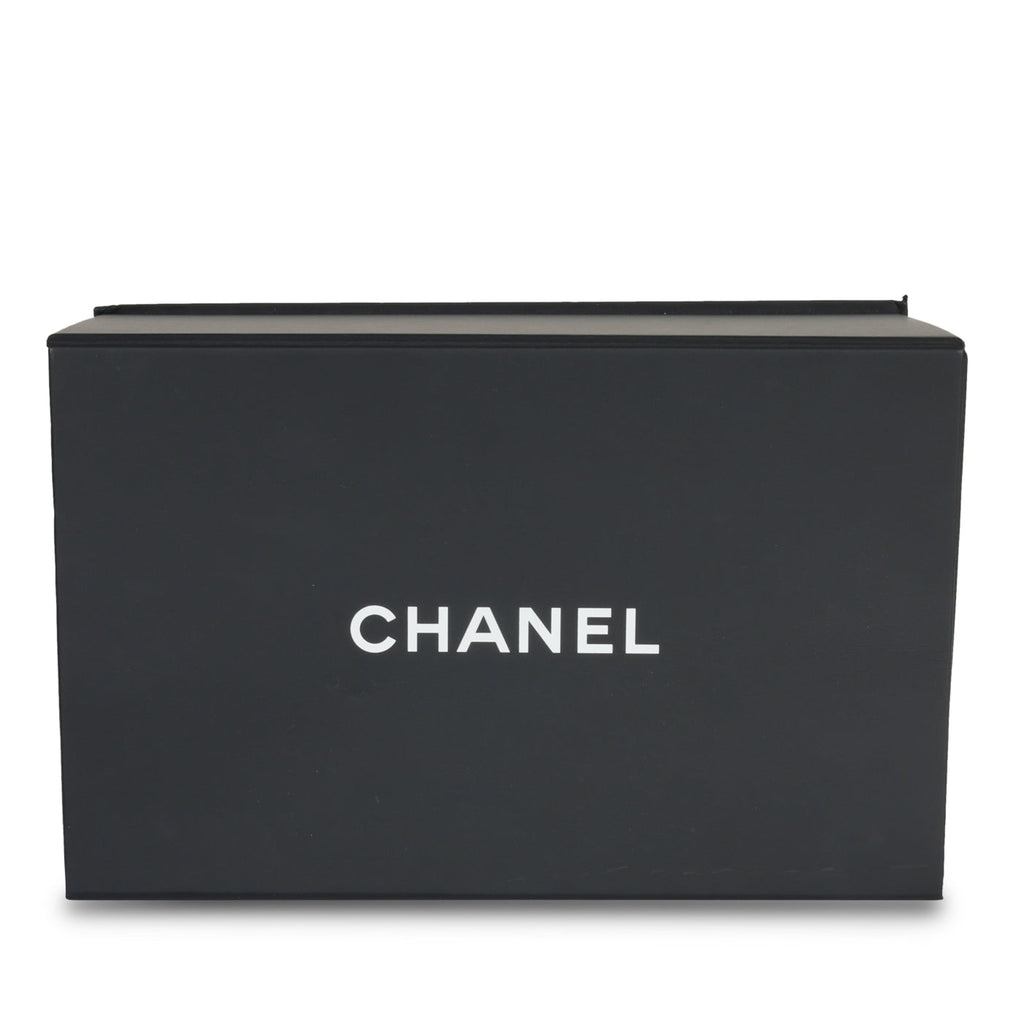 Chanel Classic Flap Bag - Mini Rectangular