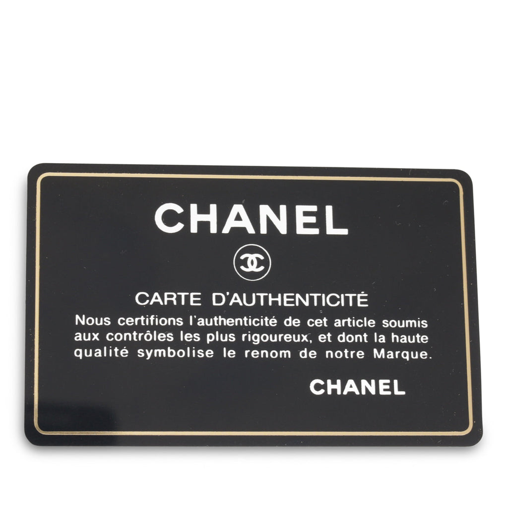Chanel Classic Flap Bag - Mini Rectangular