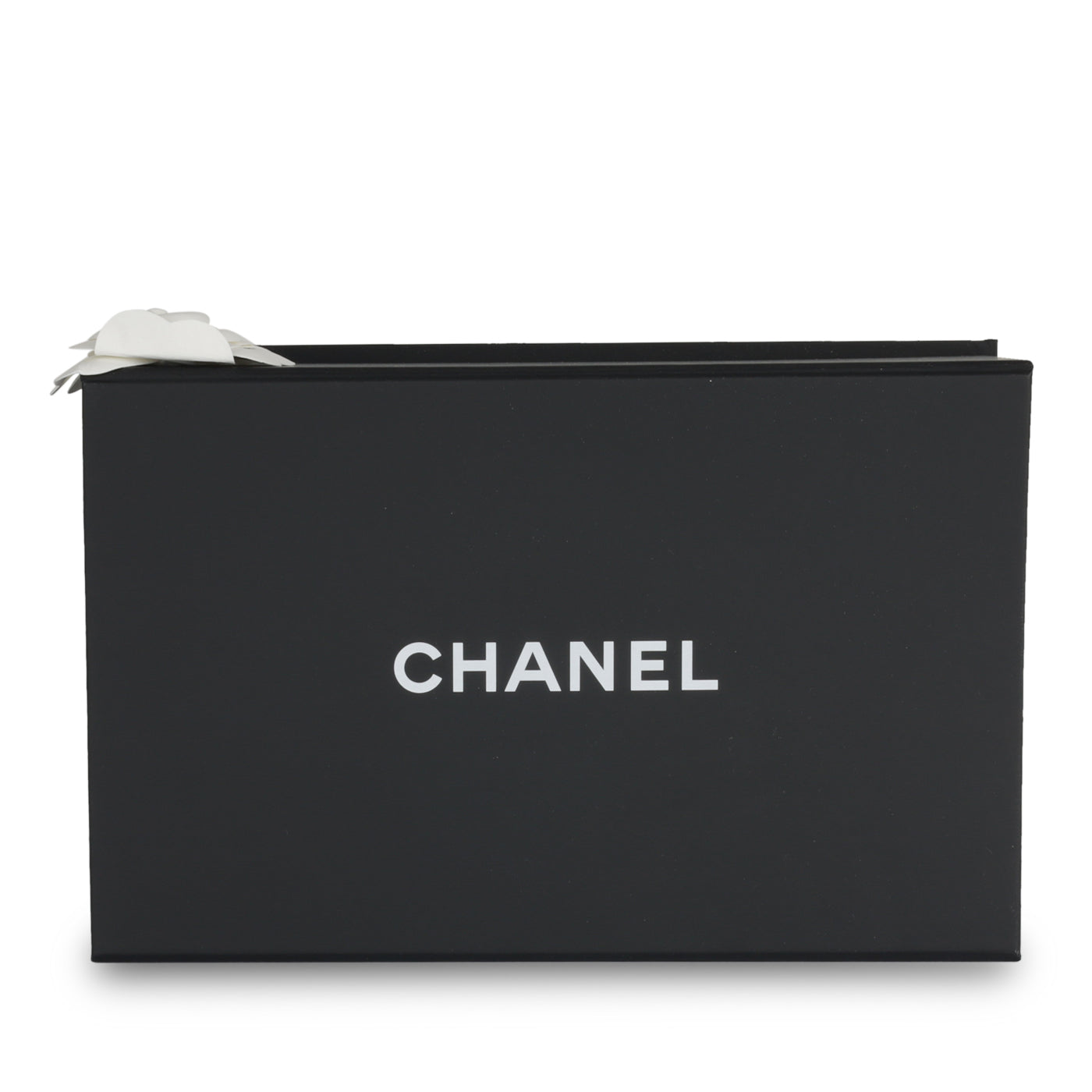 Chanel Classic Flap Bag - Mini Rectangular