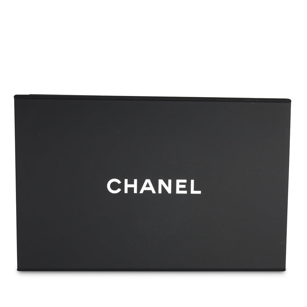 Chanel Classic Flap Bag - Mini Rectangular