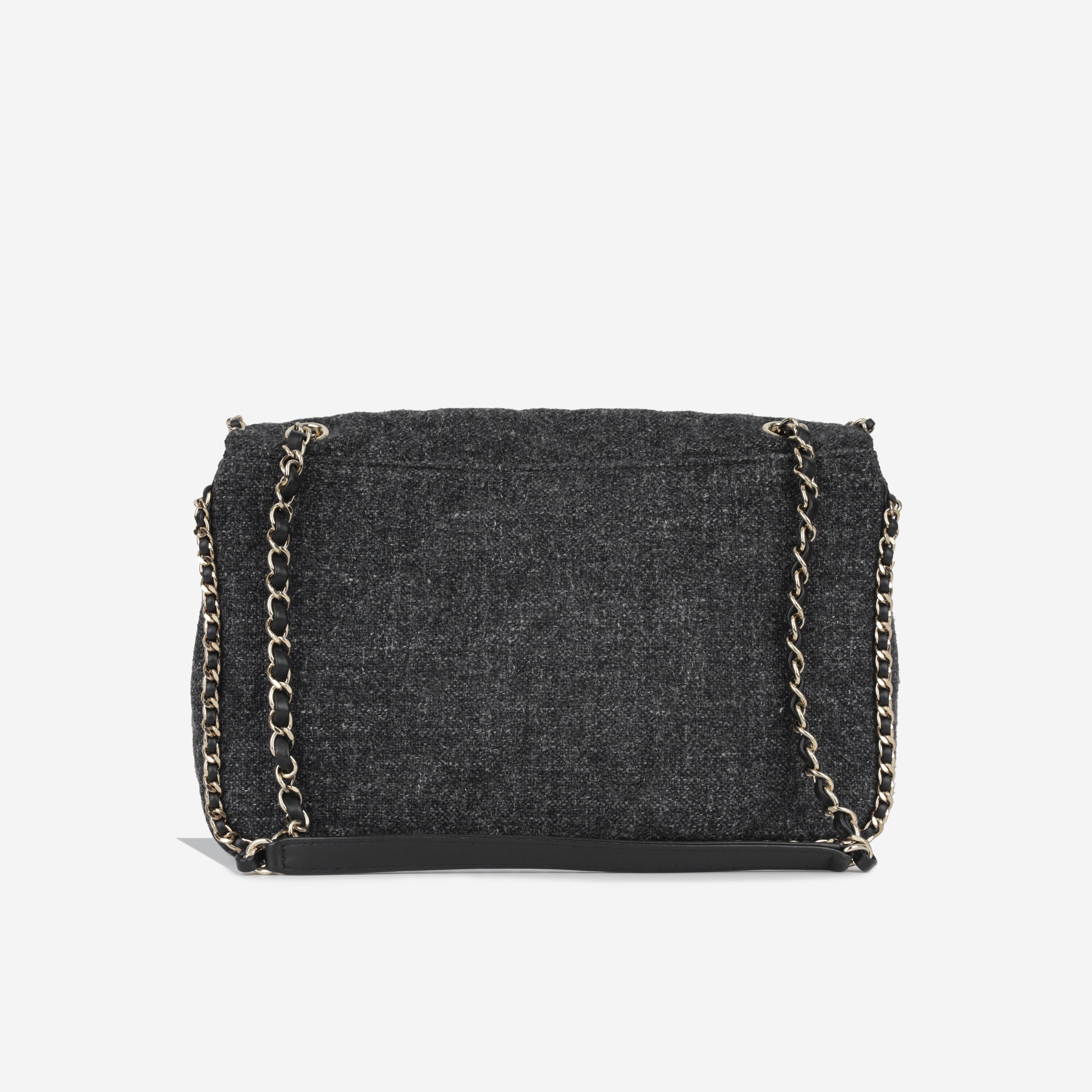 Chanel Coco Neige Chain Around Flap Bag