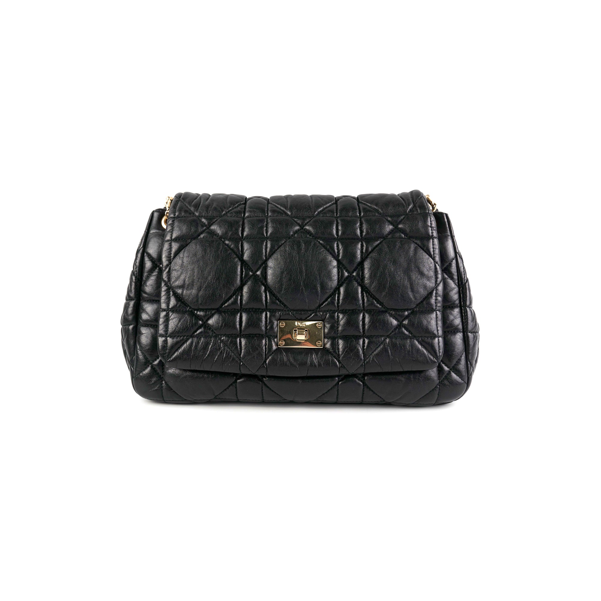 Dior Milly La Foret Small Black
