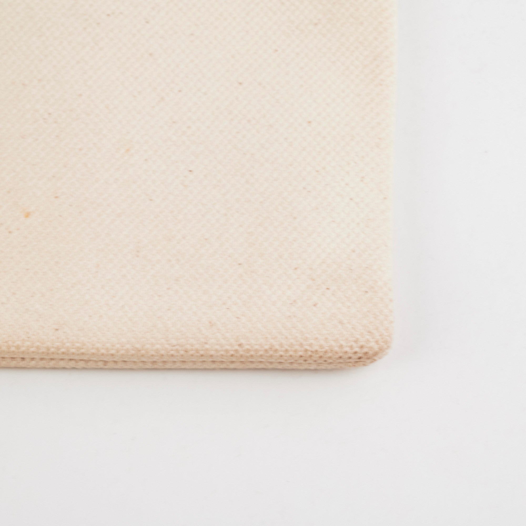 Celine Canvas Clutch