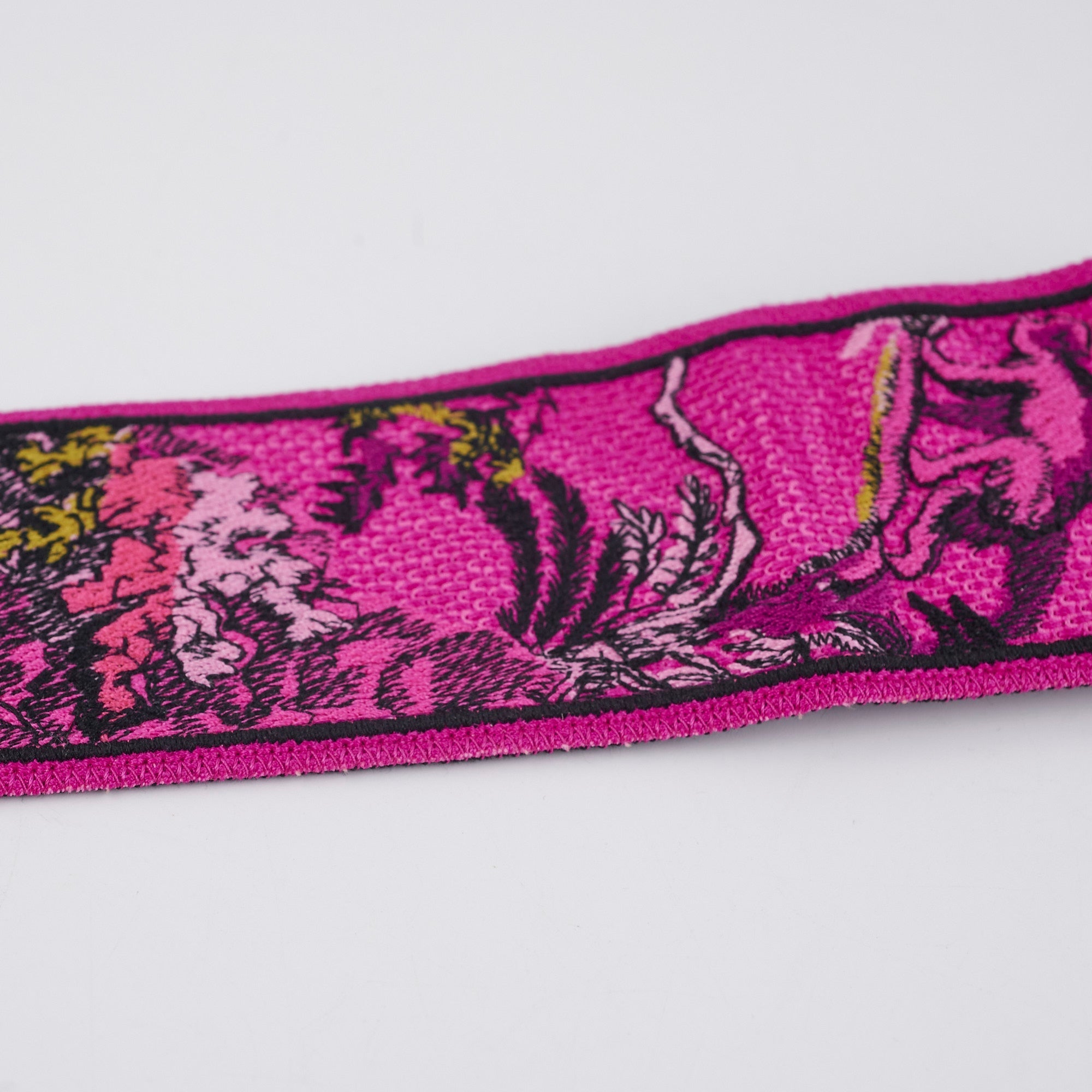 Christian Dior Straps