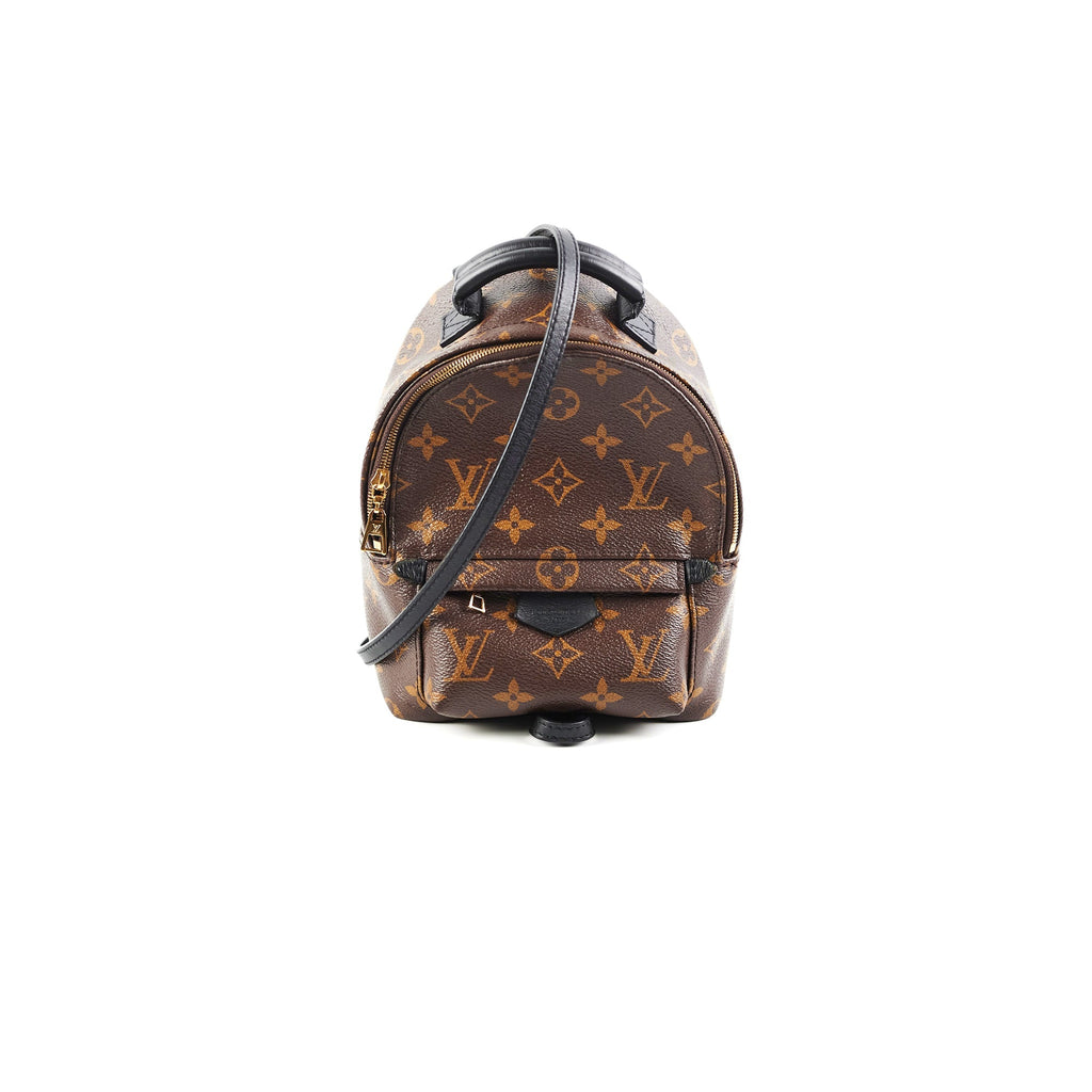 Louis Vuitton Palm Spring Mini Monogram Backpack New Style Zipper