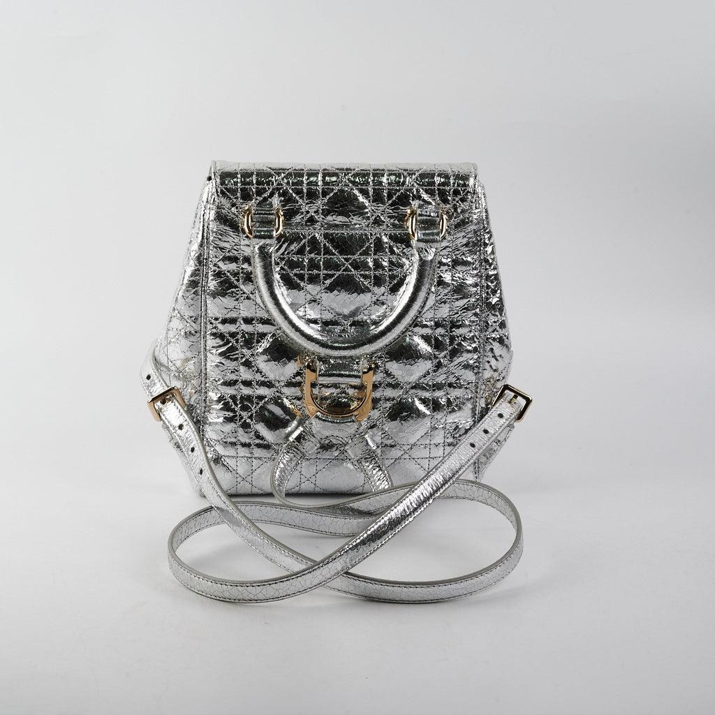 Dior Backpack Silver
