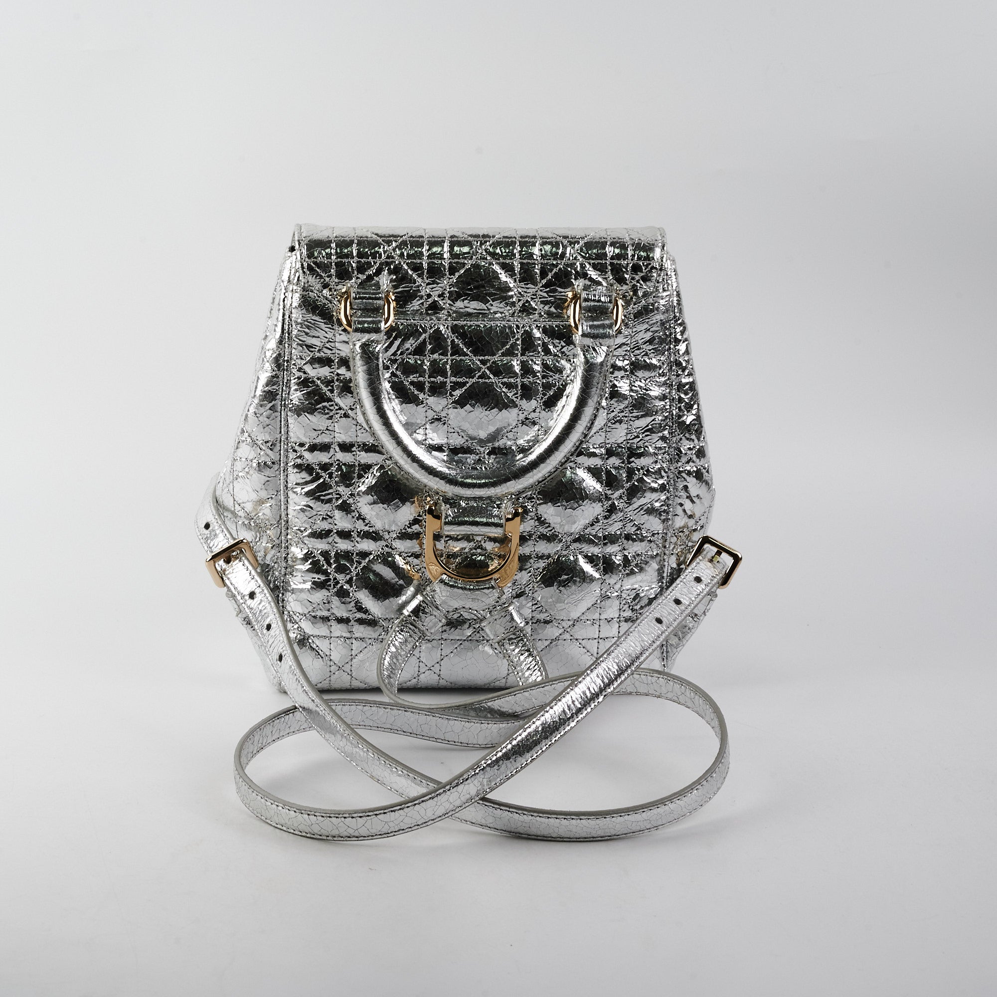 Dior Backpack Silver