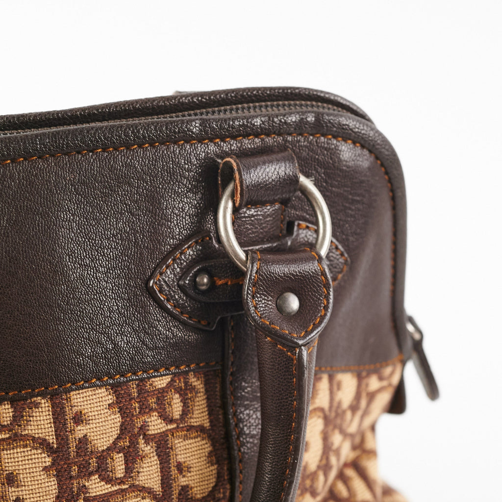 Dior Trotter Travel Bag Beige/Brown