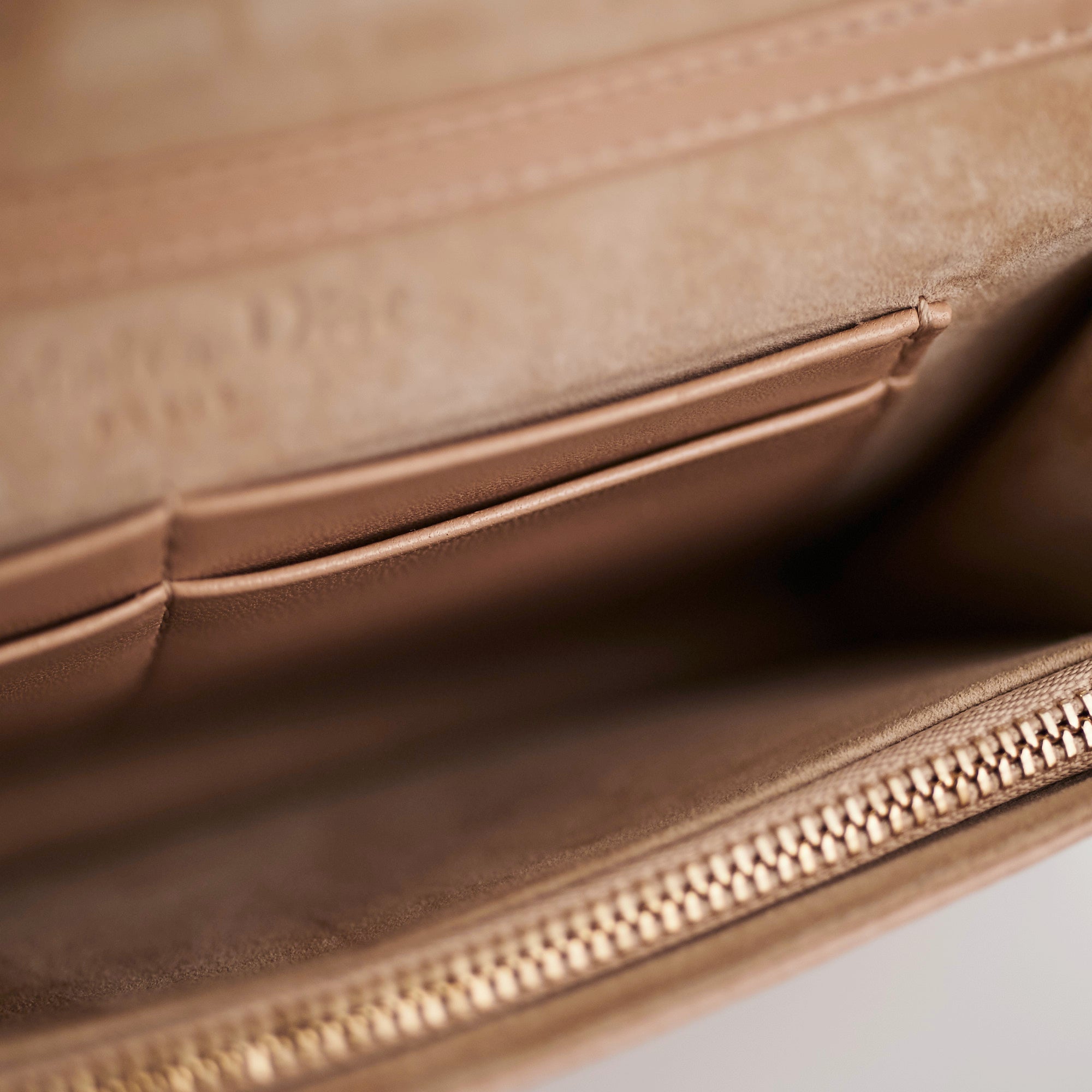 Dior Diorama Wallet on Chain WOC Beige/Pink