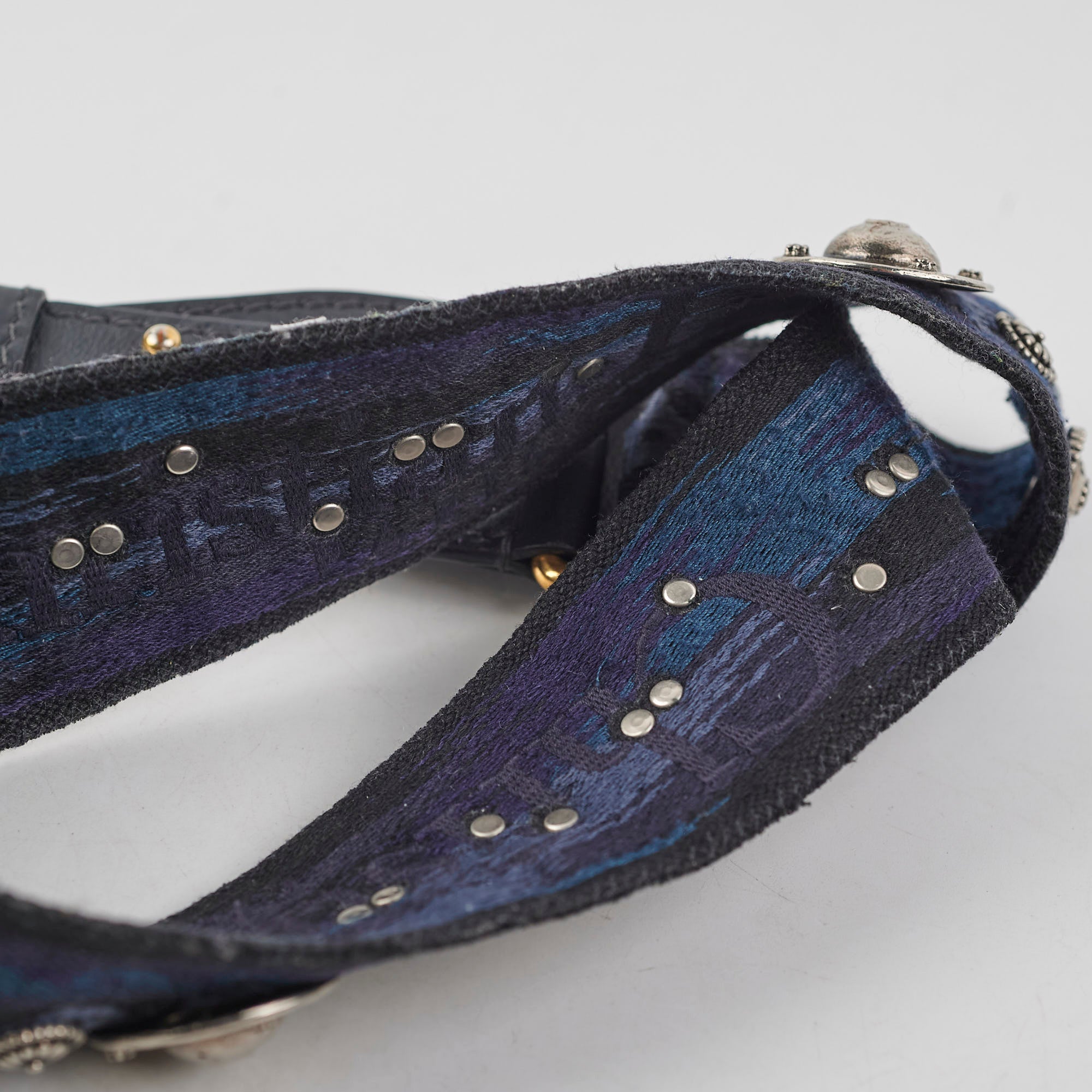Dior Canvas Strap