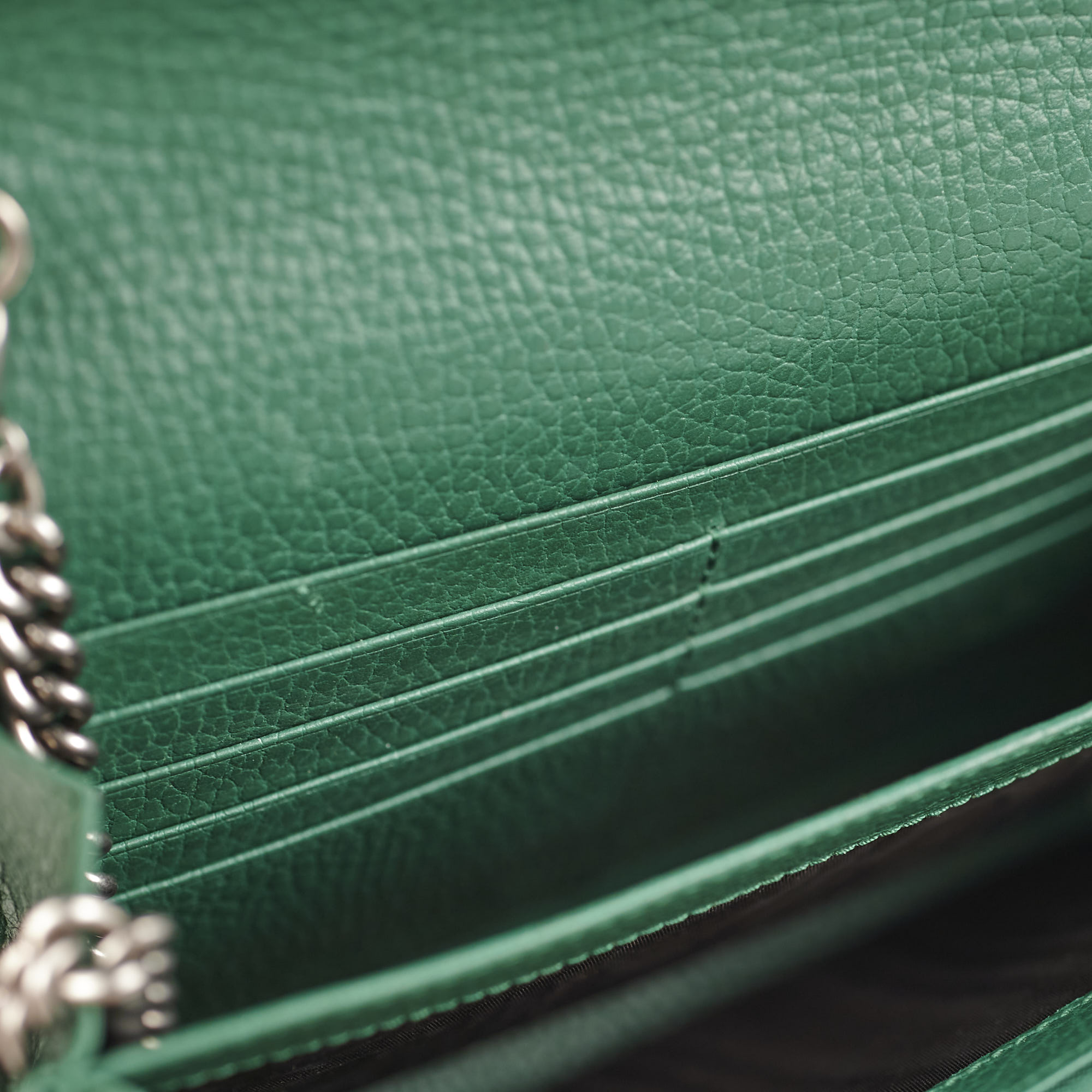 Gucci Dionysus Wallet On Chain Green