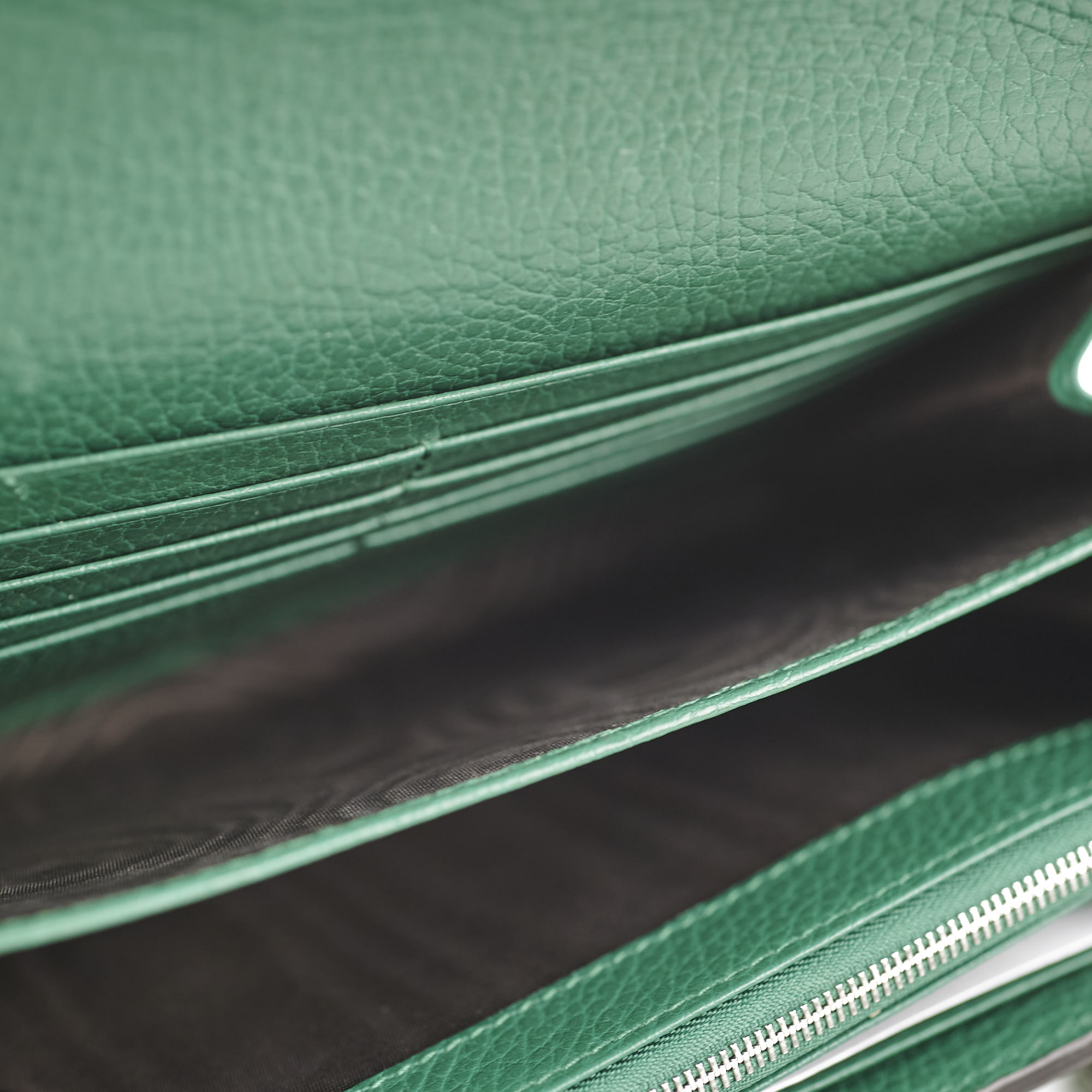 Gucci Dionysus Wallet On Chain Green