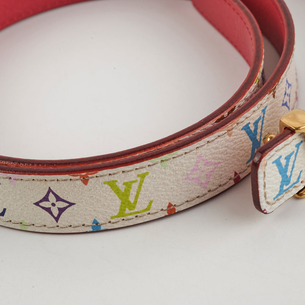 Louis Vuitton Muticolour Belt 95cm