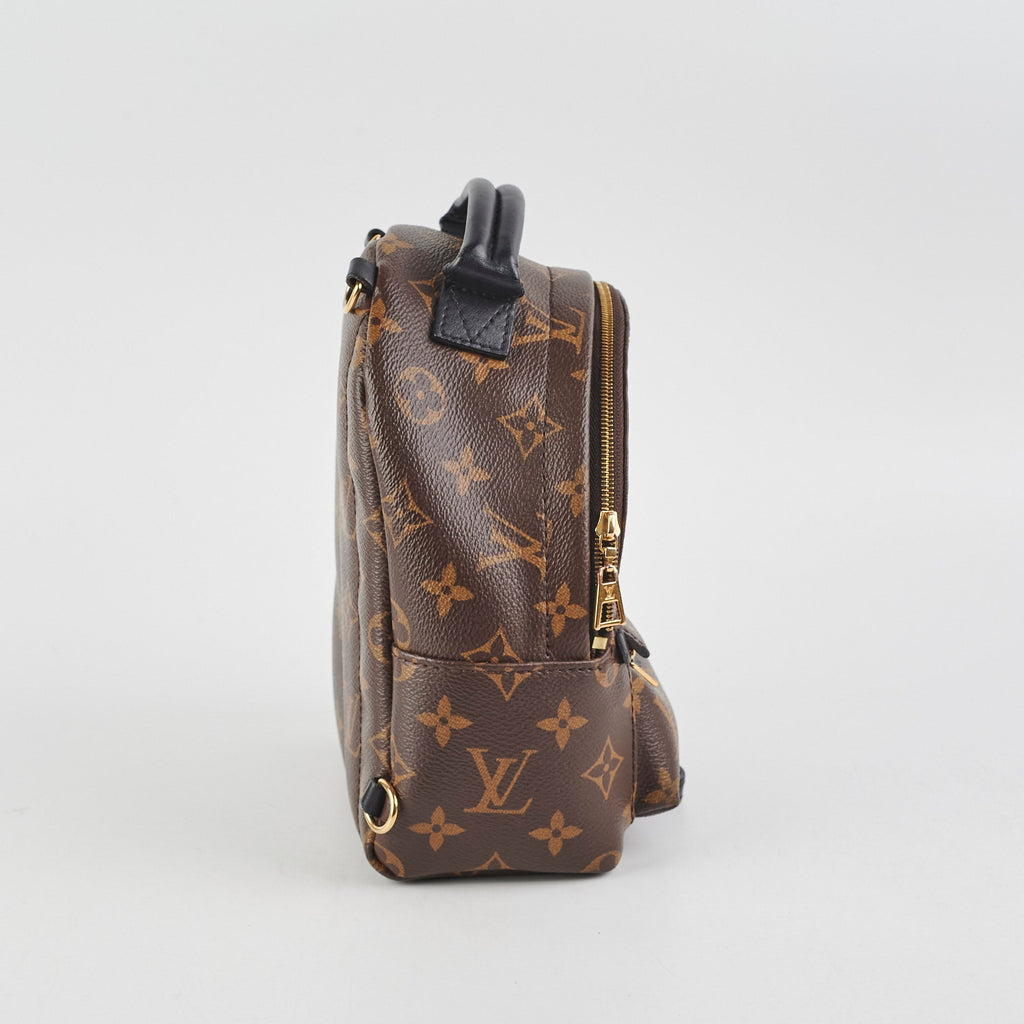 Louis Vuitton Palm Springs Monogram Mini Backpack