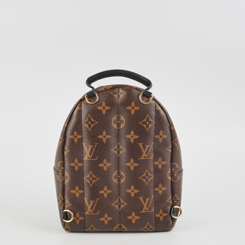 Louis Vuitton Palm Springs Monogram Mini Backpack