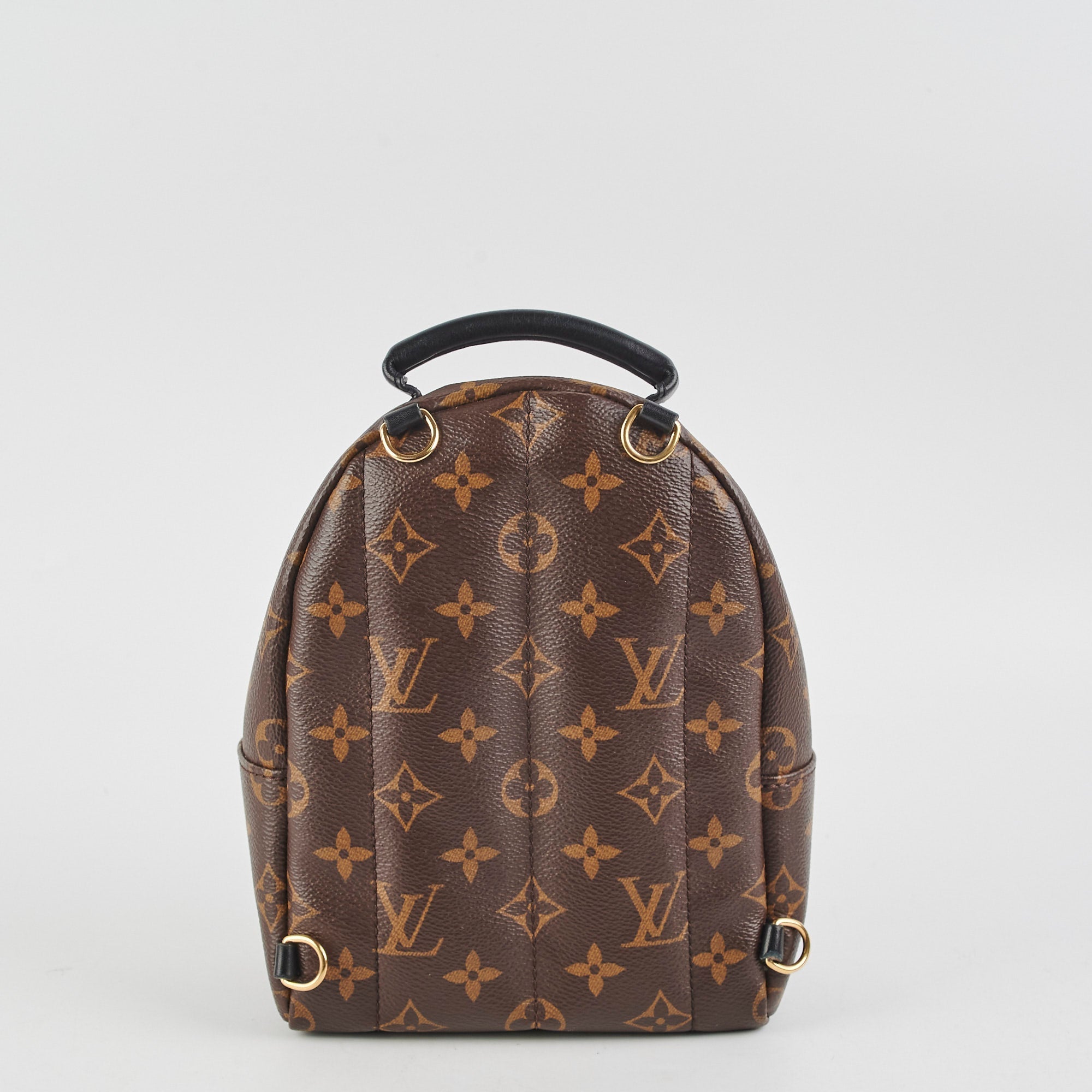 Louis Vuitton Palm Springs Monogram Mini Backpack
