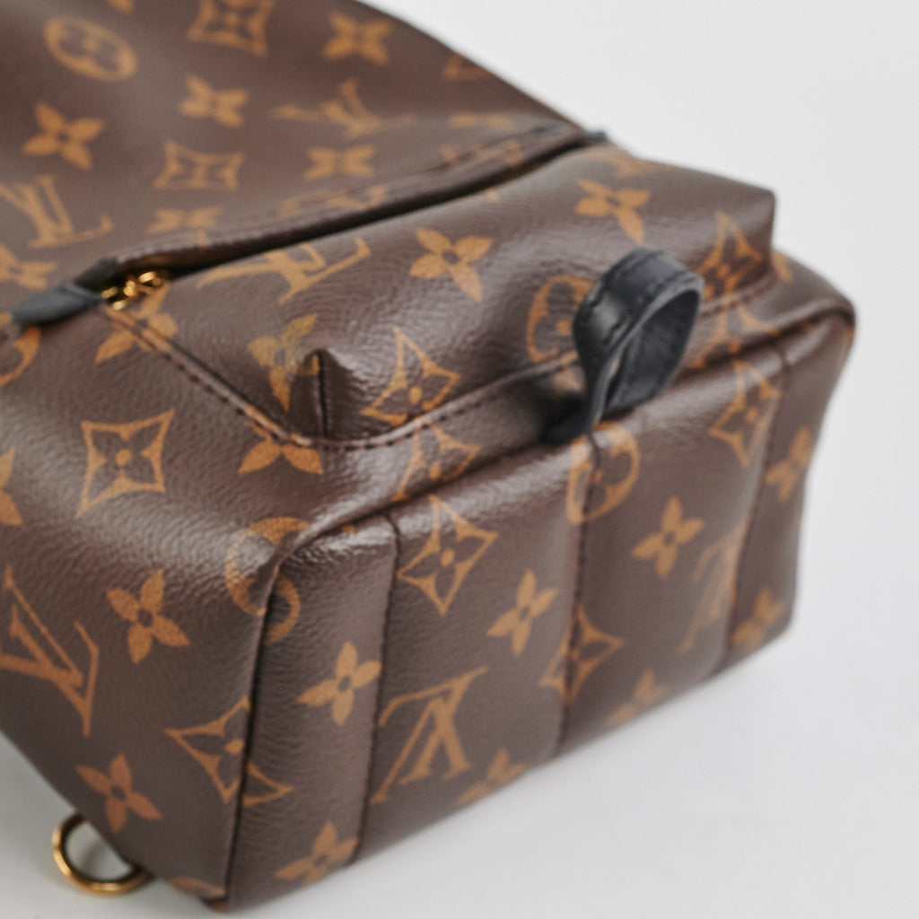 Louis Vuitton Palm Springs Monogram Mini Backpack