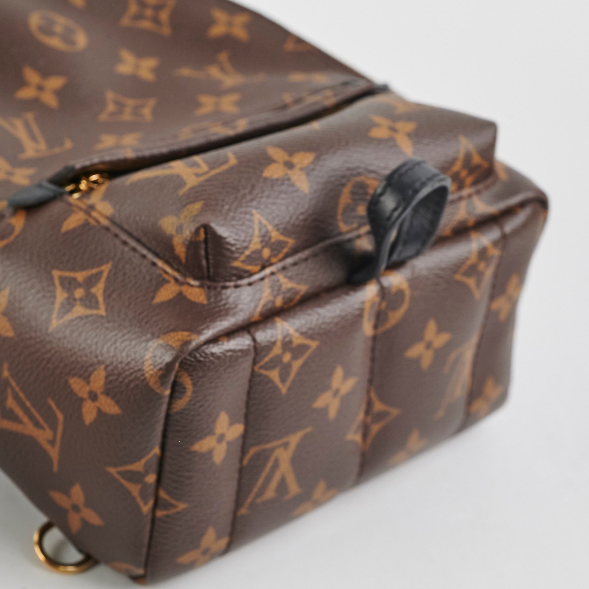 Louis Vuitton Palm Springs Monogram Mini Backpack