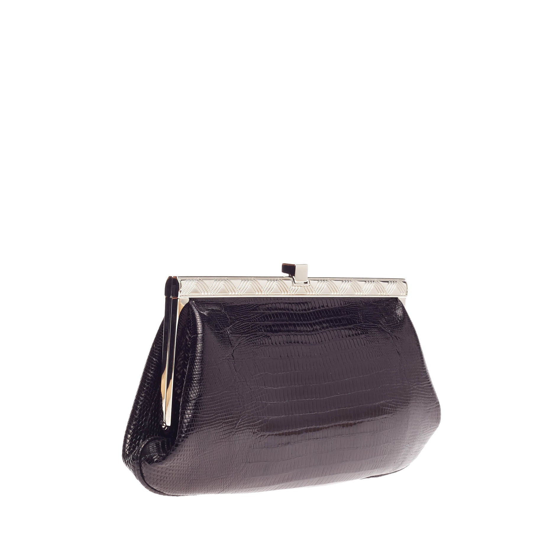 Frame Clutch Lizard Small