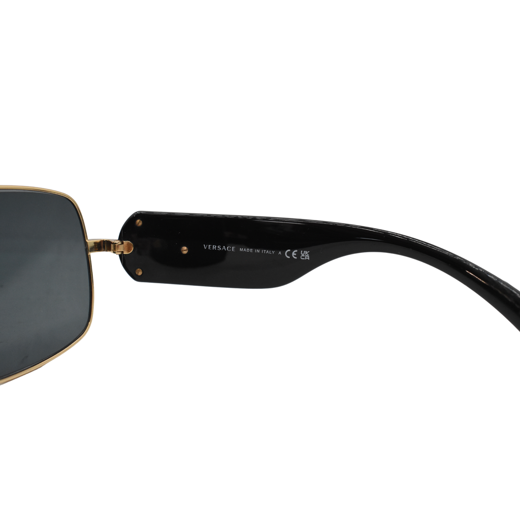 Versace 'Baroque' Sunglasses