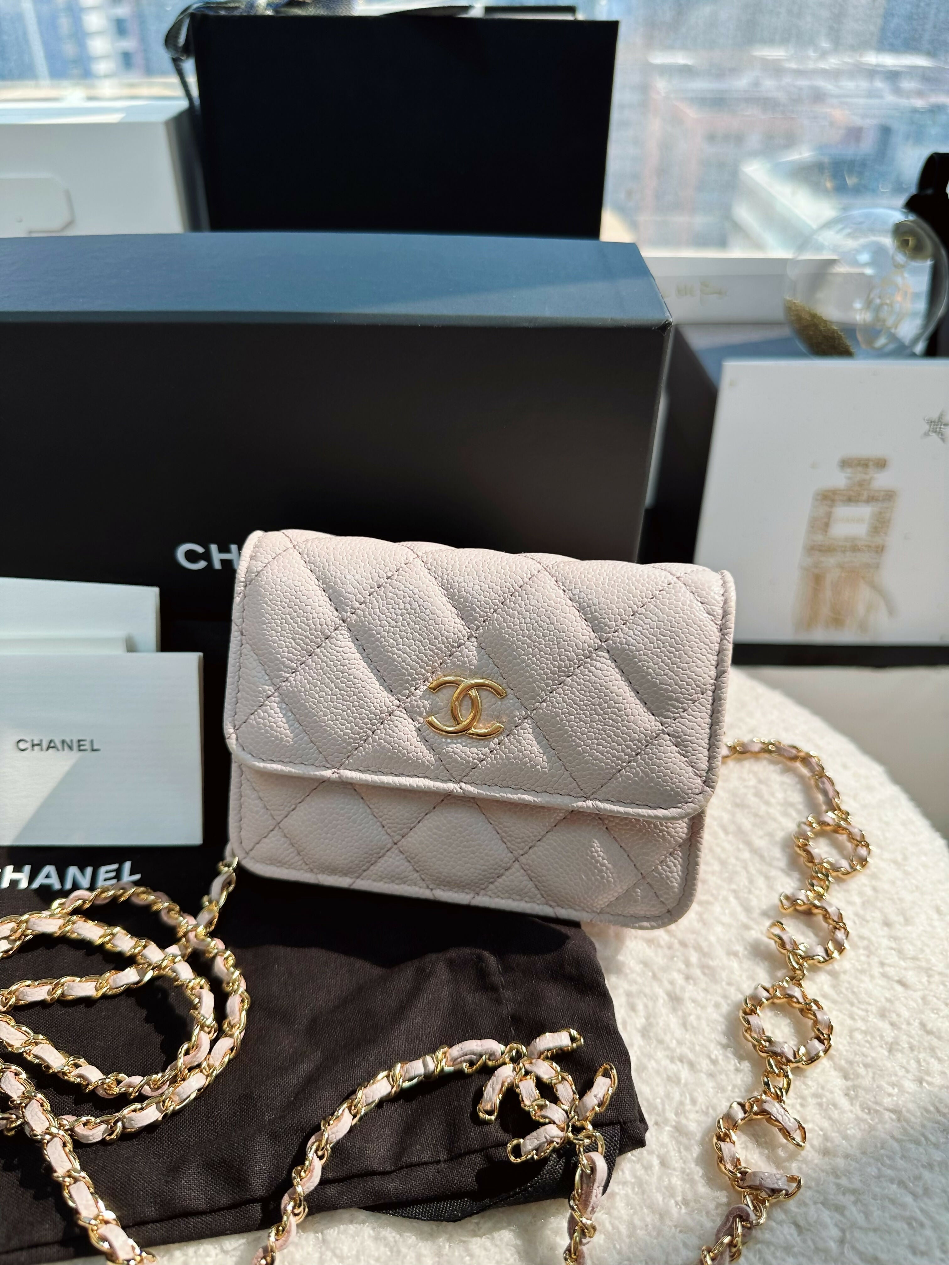 Chanel(21)Small Leather Coco Chain Bag