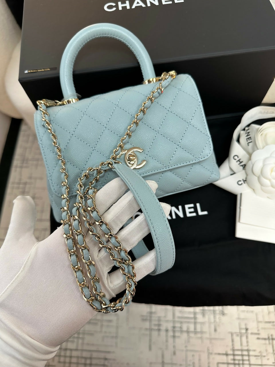 Chanel (22)Coco Handle Mini