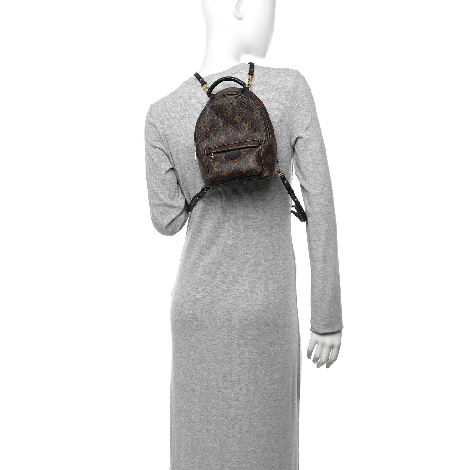 Monogram Palm Springs Backpack Mini