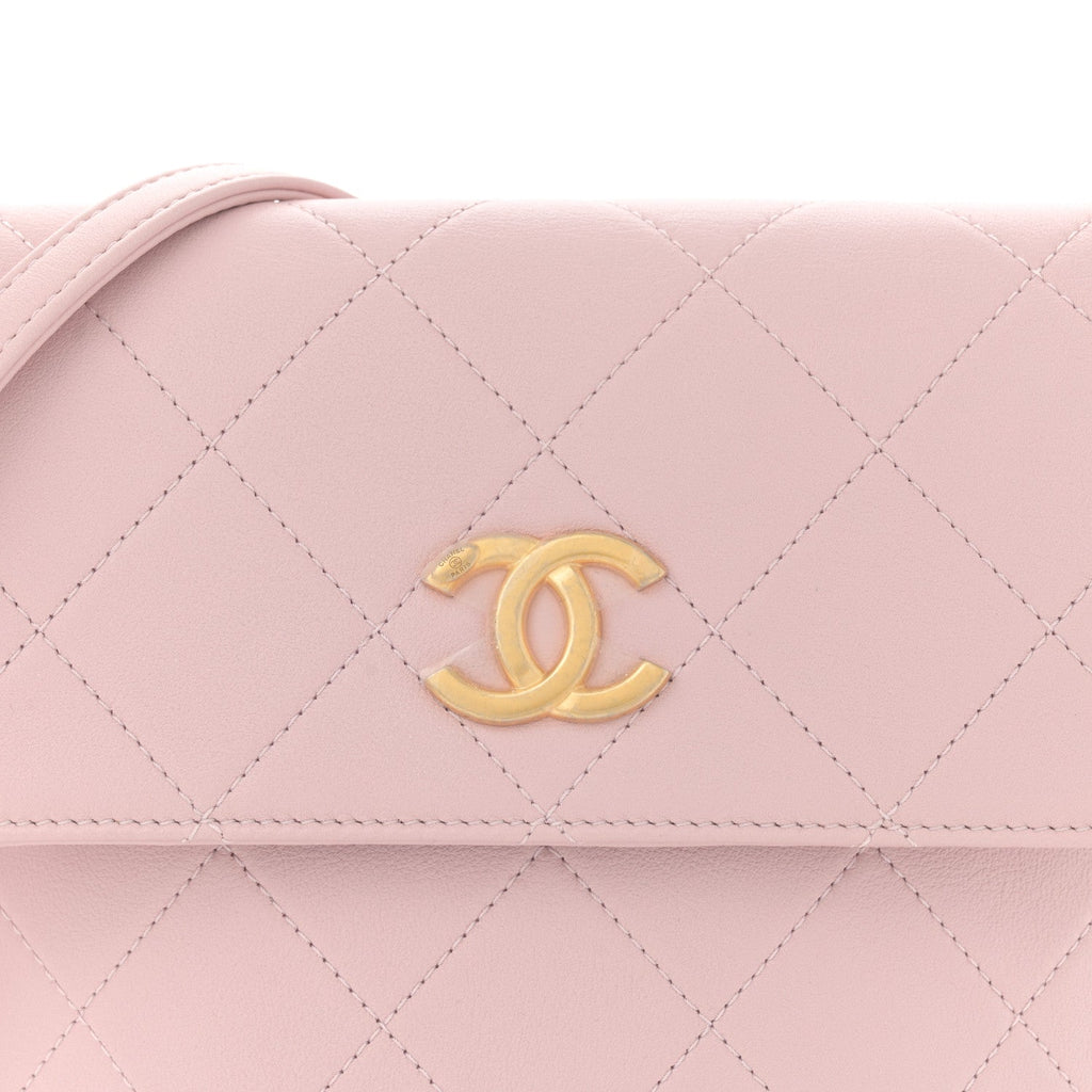 Calfskin Quilted Pearl Small About Pearls Hobo Bag Light Pink