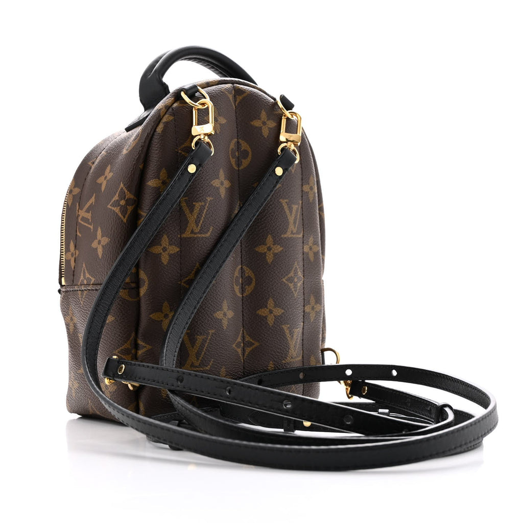 Monogram Palm Springs Backpack Mini