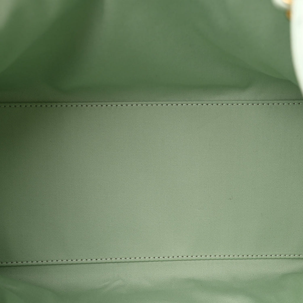 Caviar Quilted Small Chanel 25 Handbag Light Green