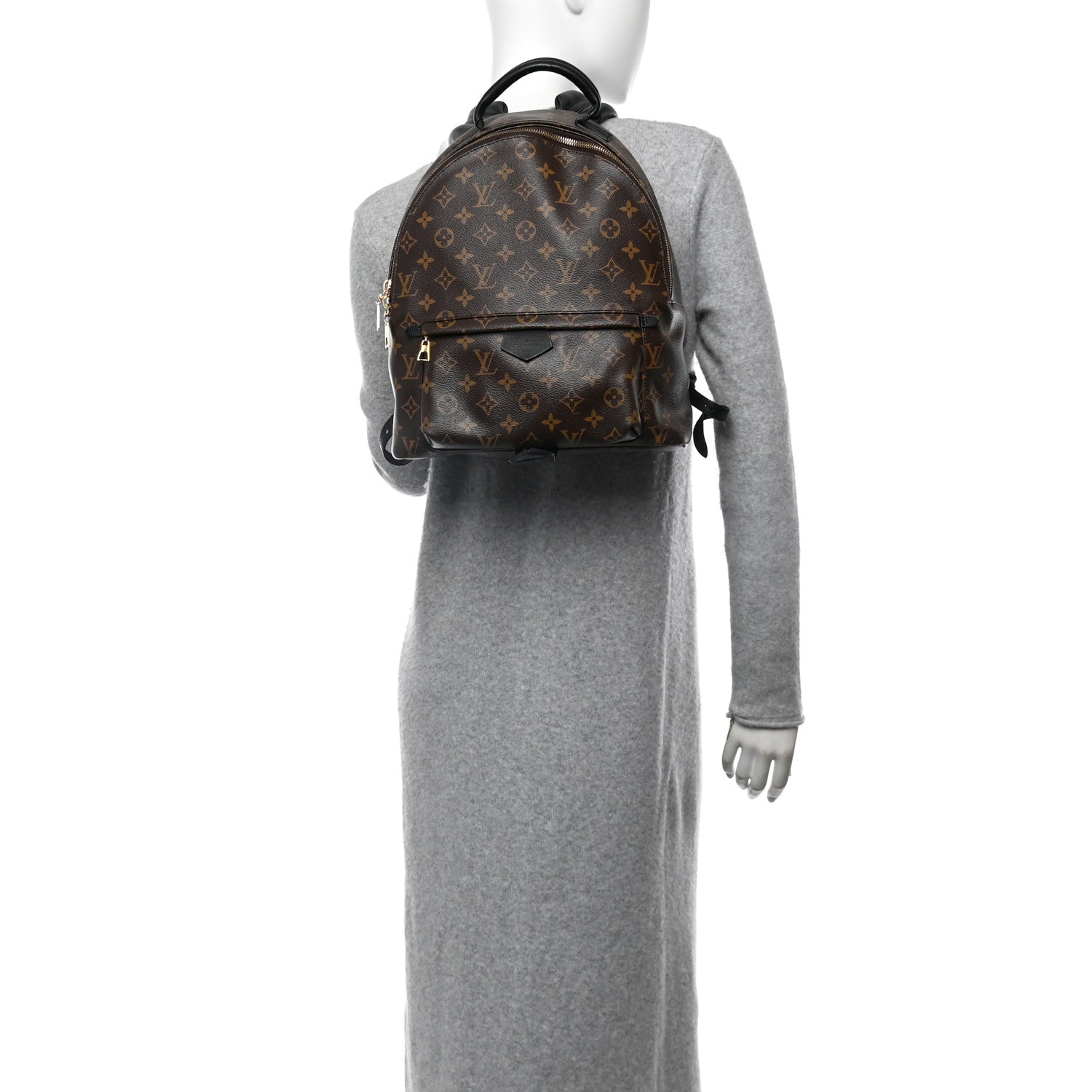 Monogram Palm Springs Backpack MM