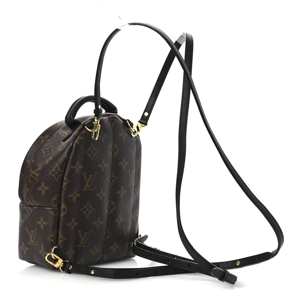 Monogram Palm Springs Backpack Mini