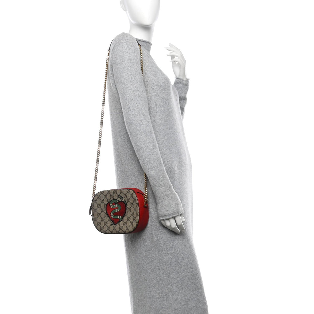 GG Supreme Monogram Kingsnake Heart Embroidered Mini Chain Shoulder Bag Beige Hibiscus Red