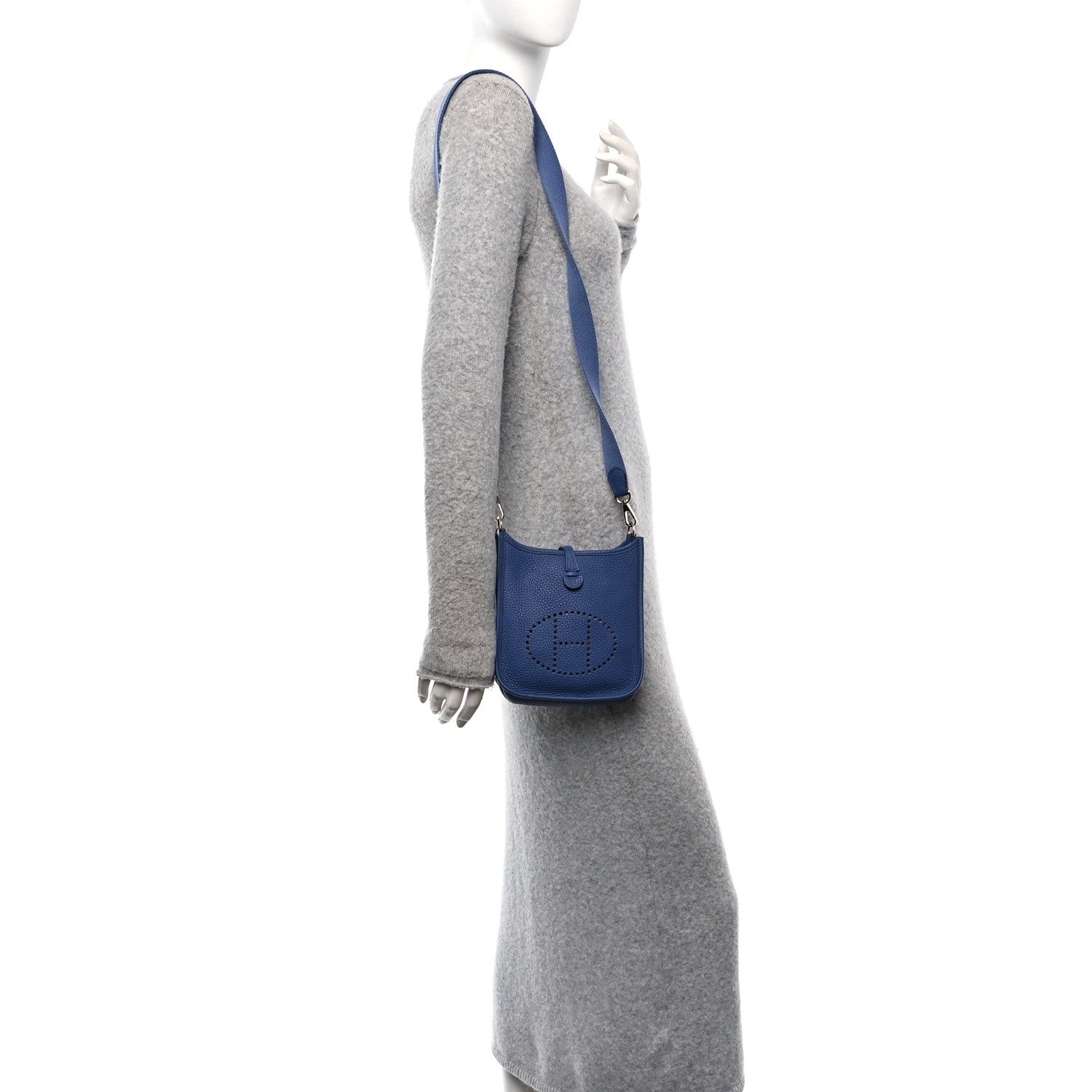 Taurillon Clemence Evelyne TPM Bleu Brighton