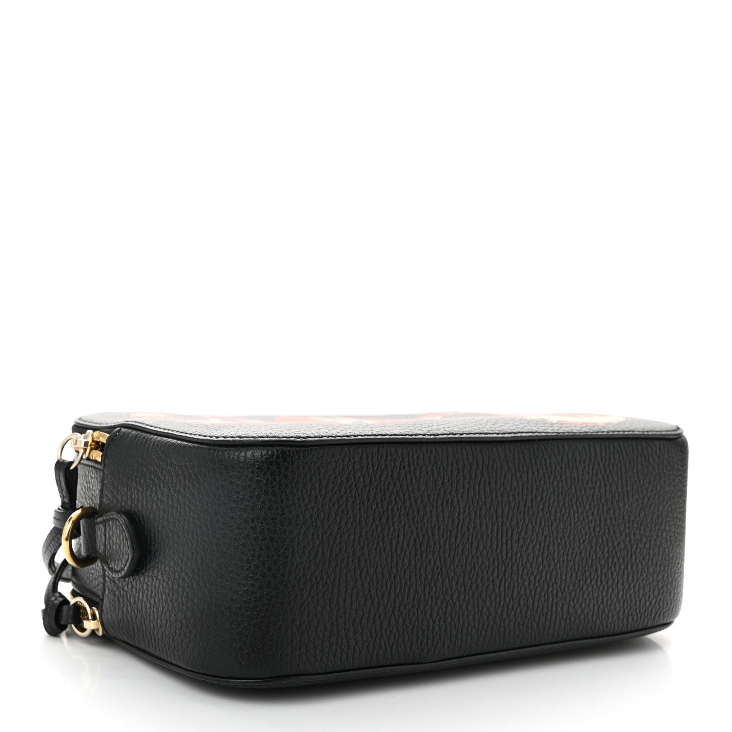 Grained Calfskin Sylvie Web Kingsnake Small Camera Bag Black Multicolor