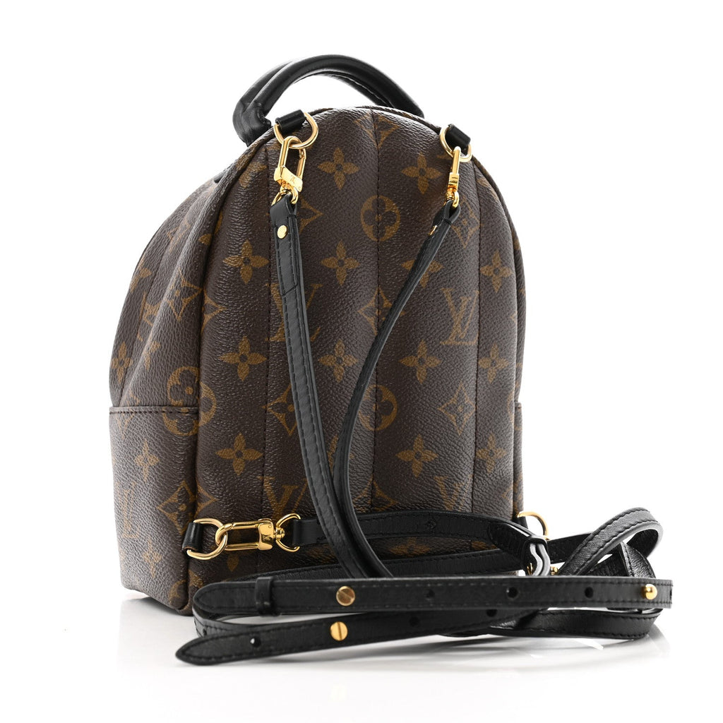 Monogram Palm Springs Backpack Mini