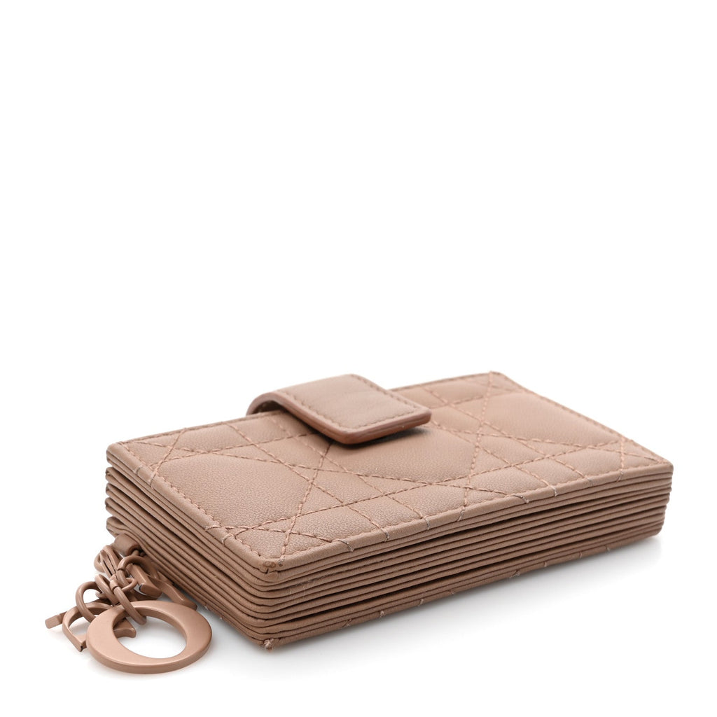 Ultra Matte Calfskin Cannage Lady Dior 5-Gusset  Holder Blush Powder