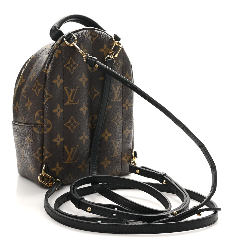 Monogram Palm Springs Backpack Mini