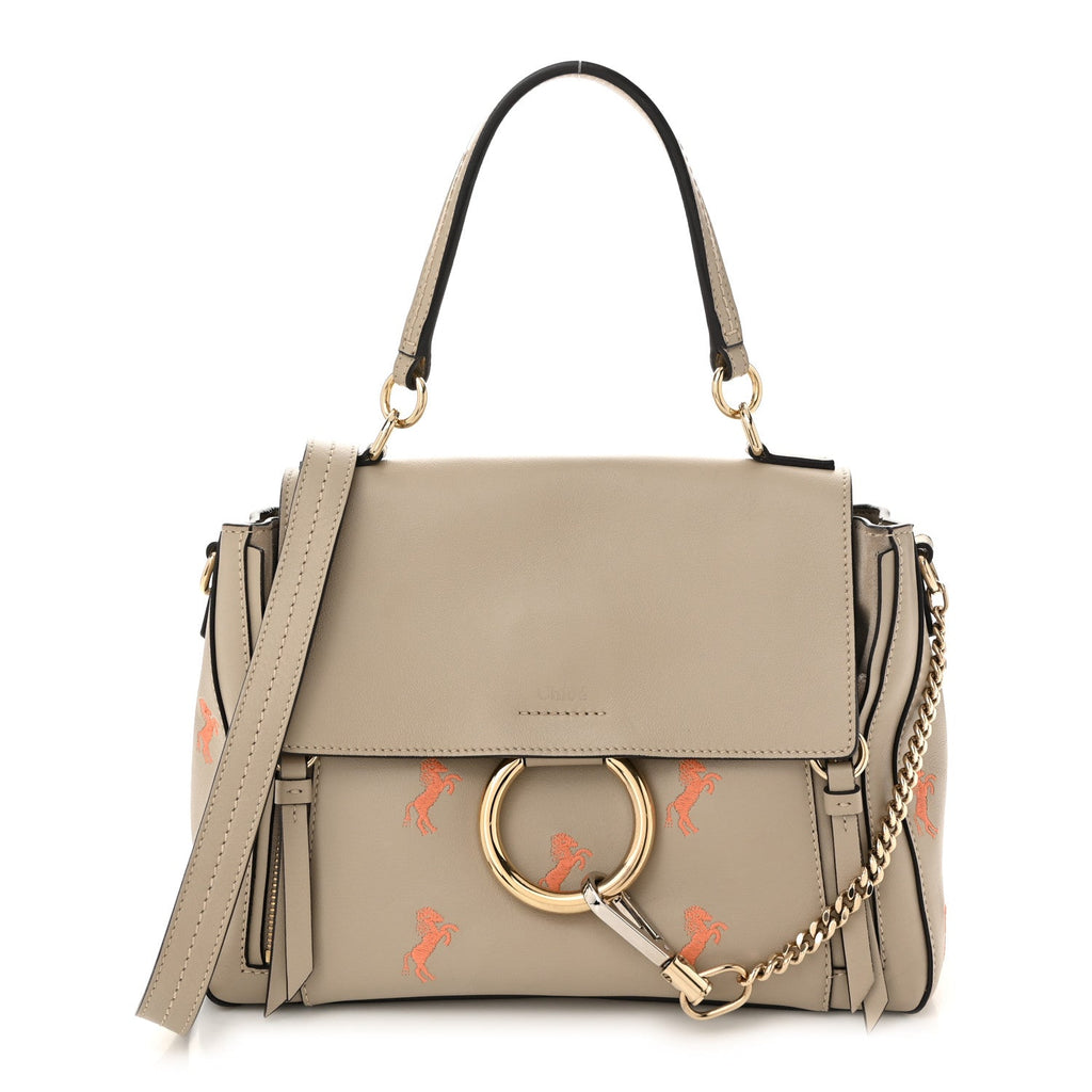 Smooth Calfskin Little Horses Embroidered Small Faye Day Shoulder Bag Pastel Grey