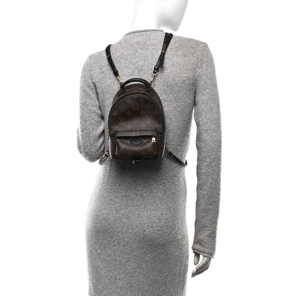 Monogram Palm Springs Backpack Mini