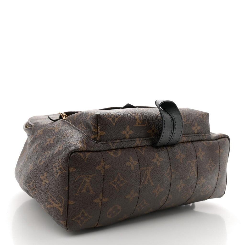 Monogram Palm Springs Backpack MM