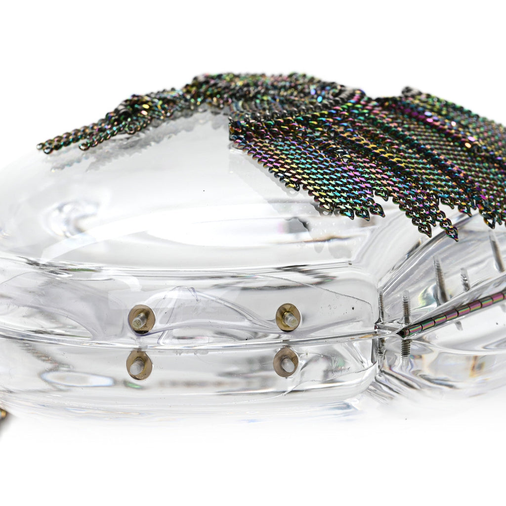 Plexiglass Iridescent Chain Fringe CC Clutch Clear