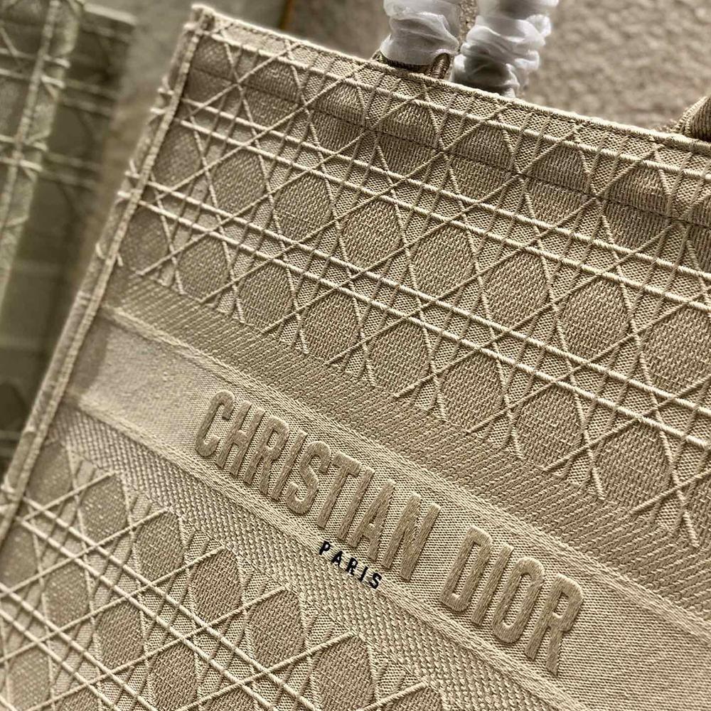 DIOR BOOK TOTE