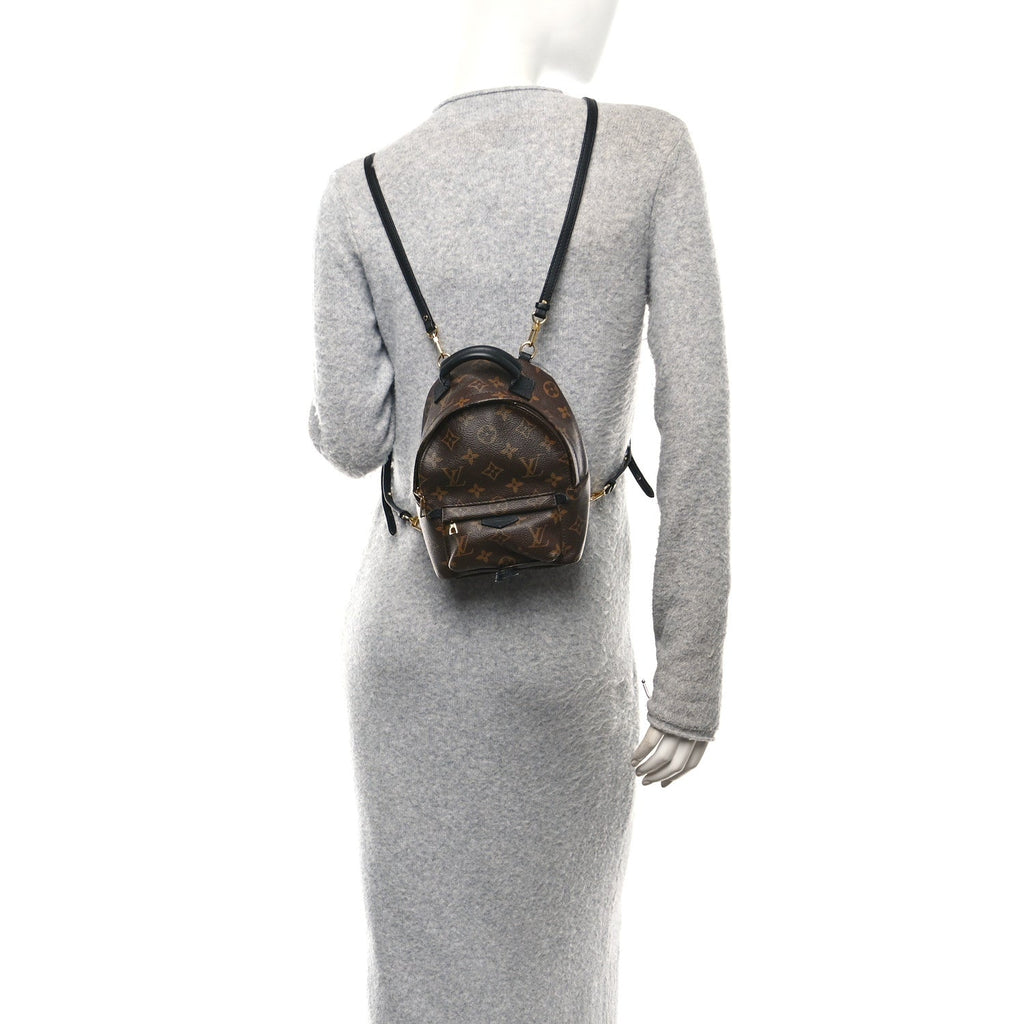 Monogram Palm Springs Backpack Mini