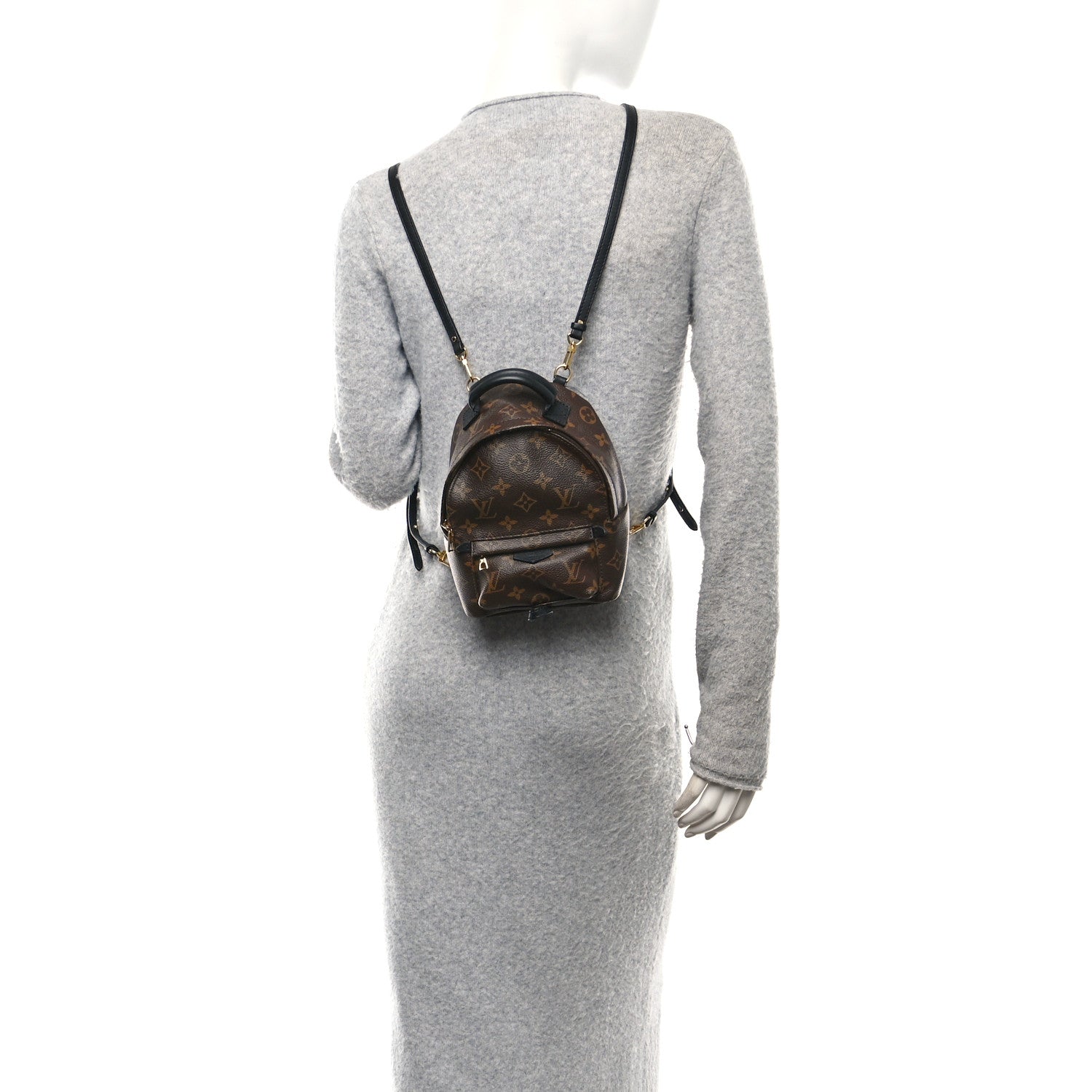 Monogram Palm Springs Backpack Mini