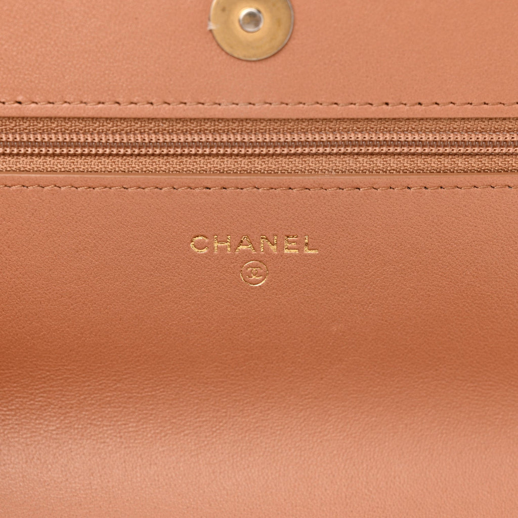 Lambskin Quilted Chanel 19 Wallet On Chain WOC Brown