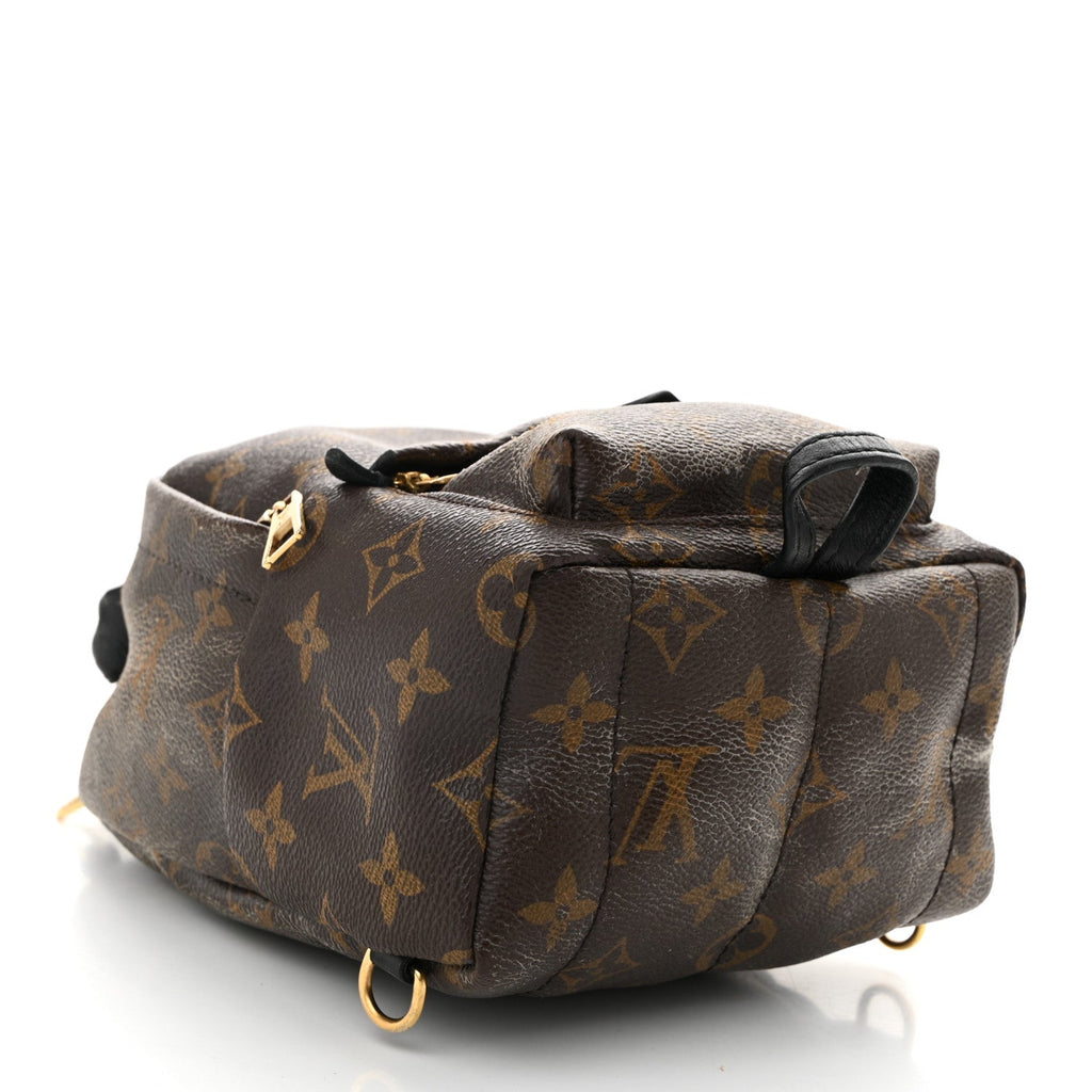 Monogram Palm Springs Backpack Mini