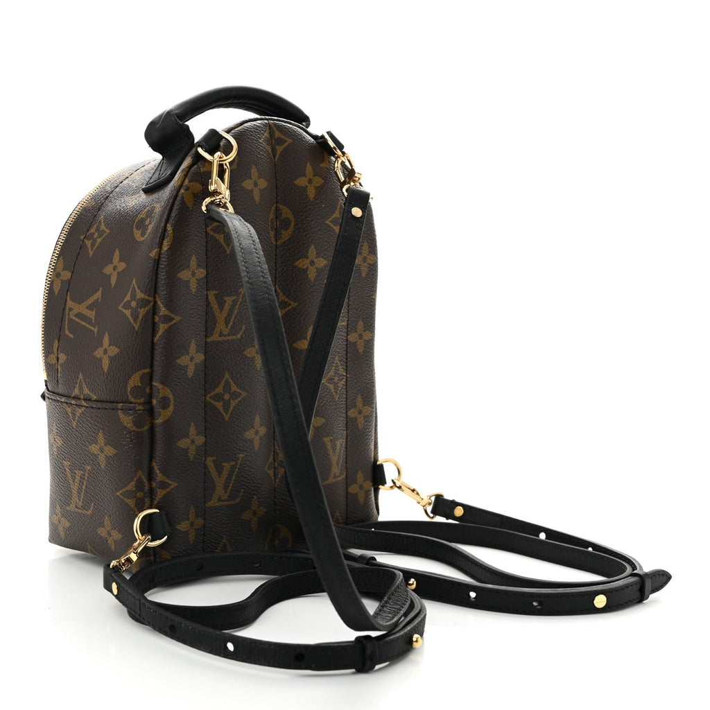Monogram Palm Springs Backpack Mini