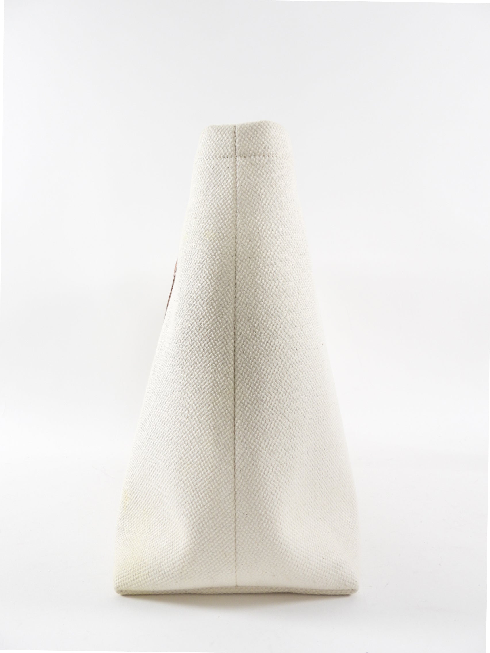 Celine 2019 Natural Toile and Tan Leather Large Travel Tote Bag