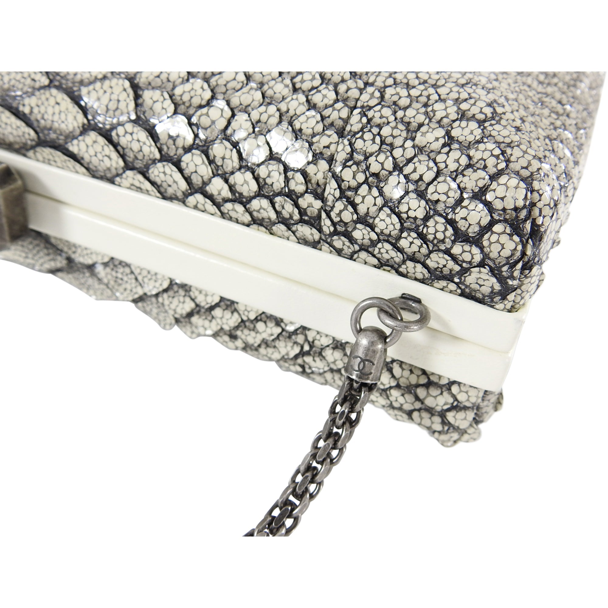 Chanel 2016 Fall Runway Limited Edition Python Kiss Lock Box Bag
